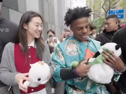 Cute Panda Backpack; Double Shoulder Bag; Chengdu, China; Speed Backpack