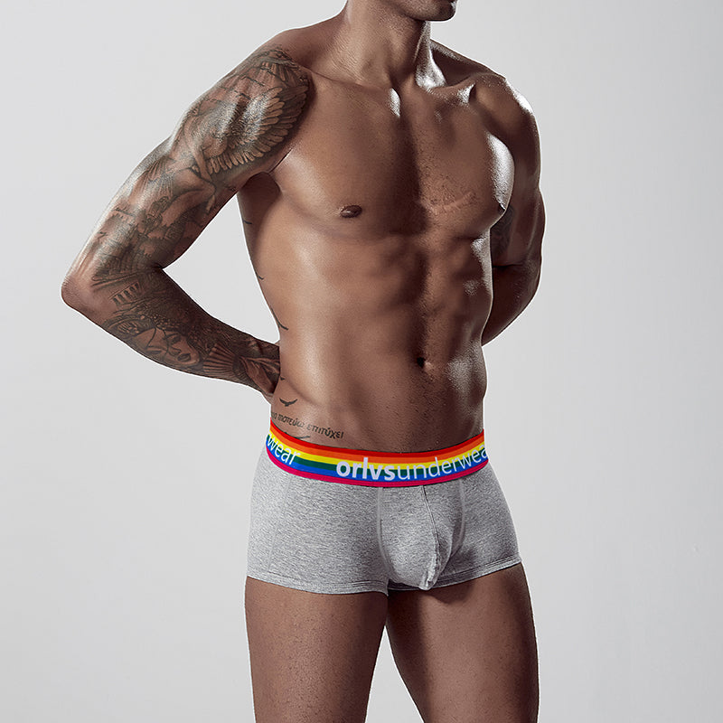 VMee OR507 Rainbow Waistband Boxer Briefs – Soft Cotton Trunks for Gay Men｜VMee