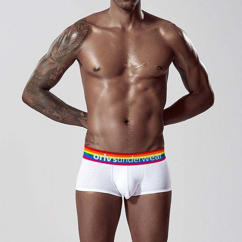 VMee OR507 Rainbow Waistband Boxer Briefs – Soft Cotton Trunks for Gay Men｜VMee